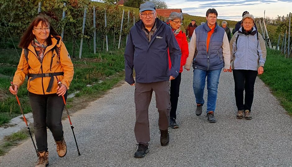 Herbstwanderung der Illinger Handball AH nach Roßwag